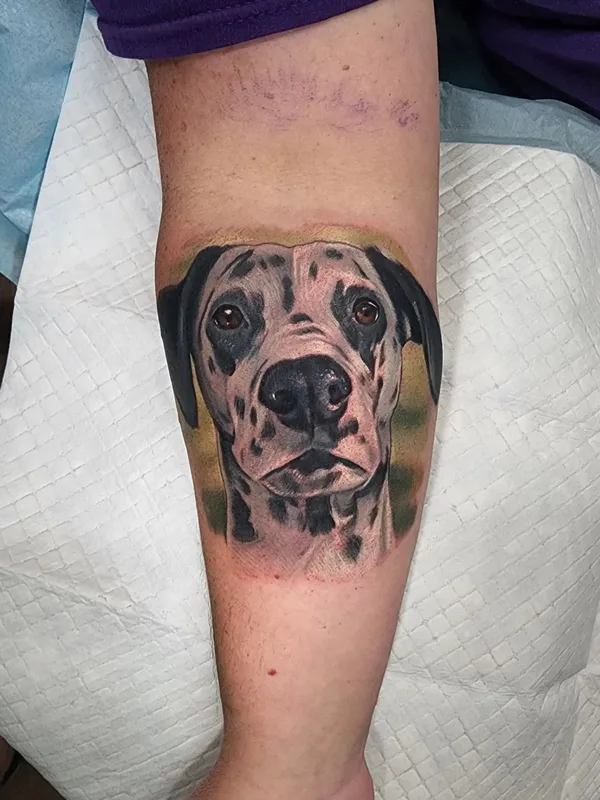 black and grey realism tatuaje en forearm #57262 | Tatuador Halo Grey