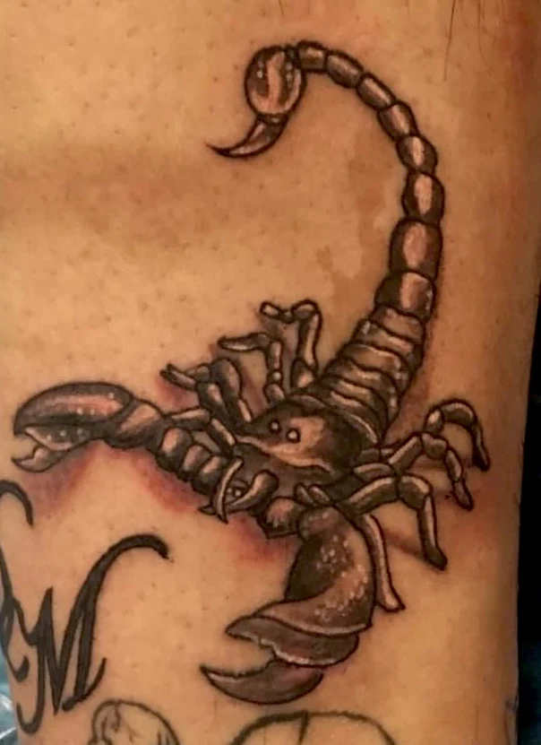 Black & Grey Scorpion tattoo on Forearm