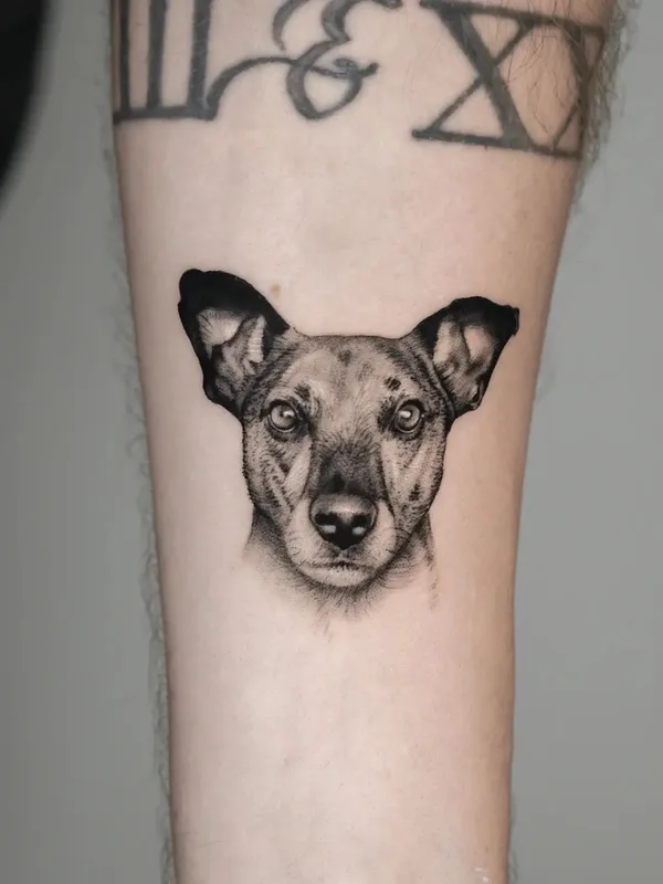 black and grey realism 纹身 在 forearm #57725 | 纹身师 Thommesen Ink