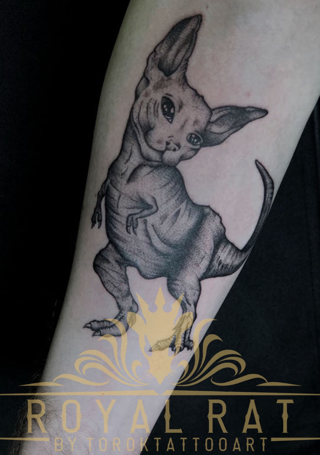 Tattoo by Royal Rat Tattoo by Toroktattooart at Royal Rat Tattoo by Toroktattooart