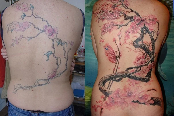 Ботаническая Flowers, Butterfly tattoo на Спина (полная)