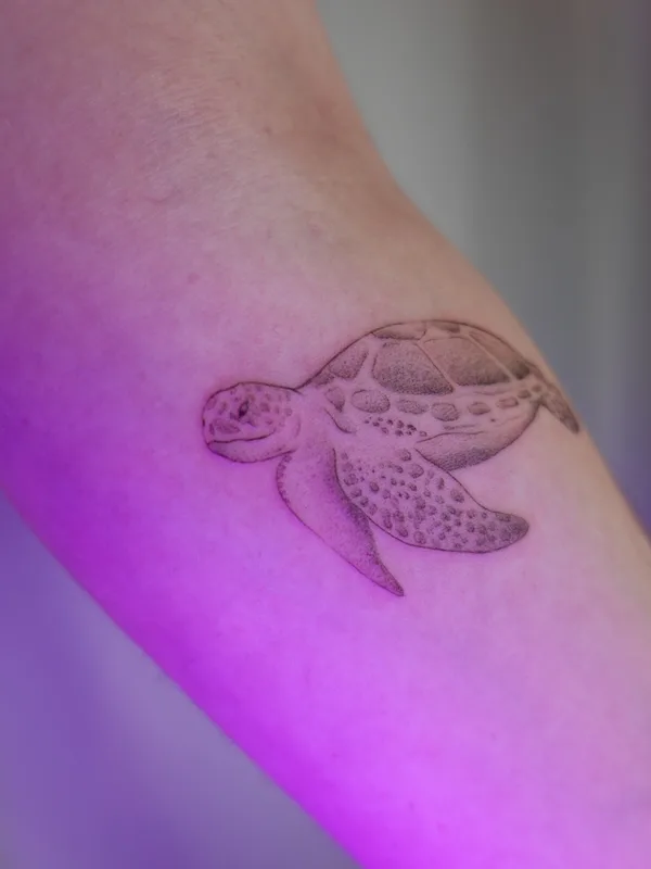 black and grey fineline 타투 부위 forearm #72542 | 타투이스트 Sasha Hemelaer