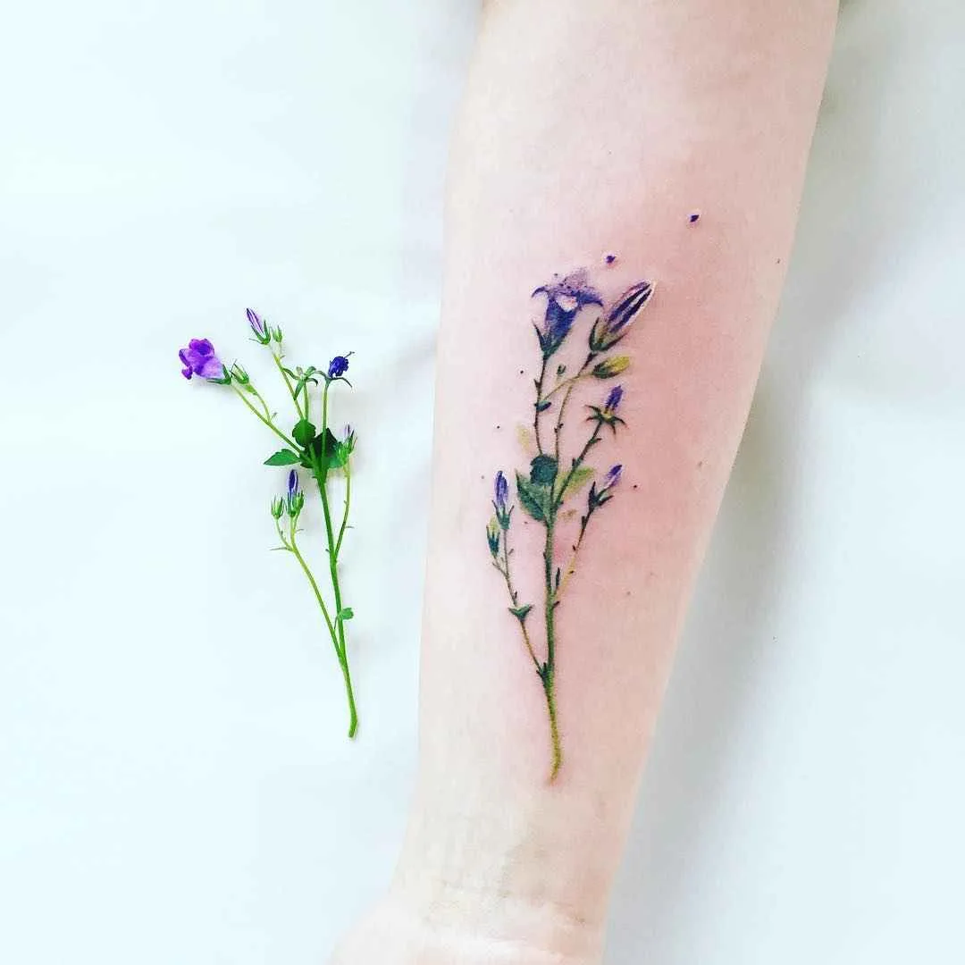 Botanical tattoo Pis Saro или ботанические татуировки