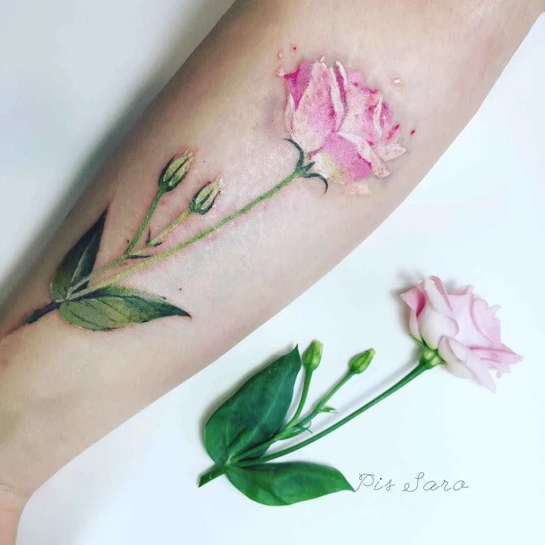 Botanical tattoo Pis Saro или ботанические татуировки