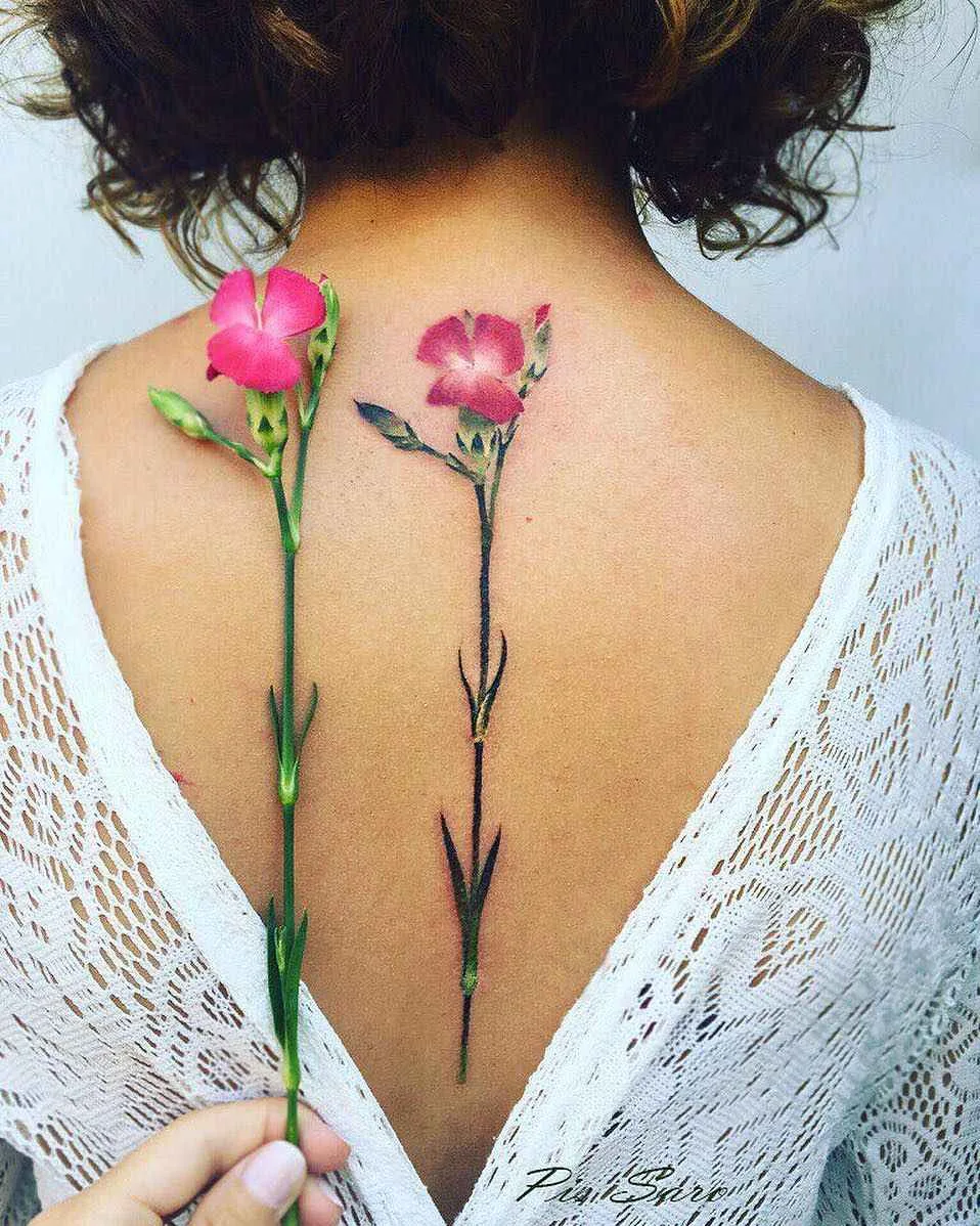 Botanical tattoo Pis Saro или ботанические татуировки