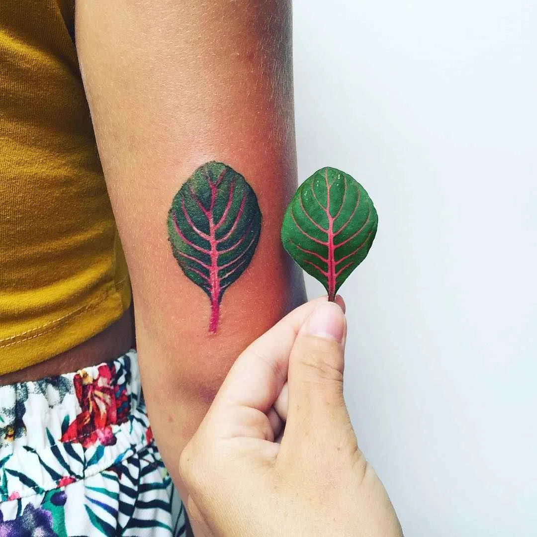 Botanical tattoo Pis Saro или ботанические татуировки