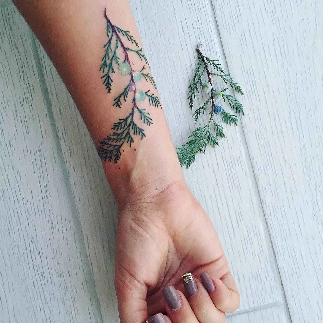 Botanical tattoo Pis Saro или ботанические татуировки
