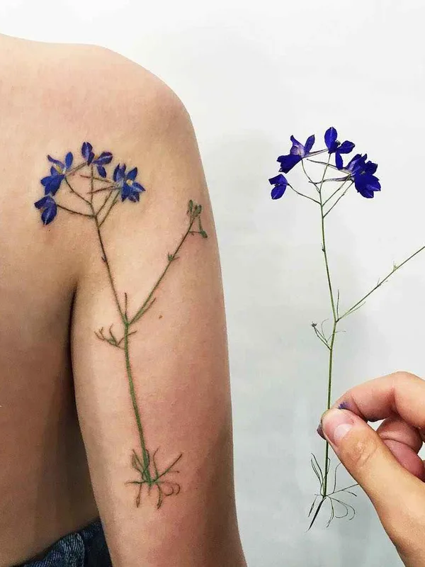 color botanic tattoo on shoulder #1511 | Tattoo Artist Rita Rit Kit Zolotuhina