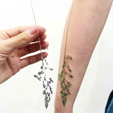 Botanical tattoo или ботанические татуировки - один из молодых трендов в татуировке