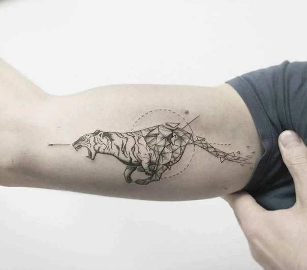 Геометрия Tiger, Arrow tattoo на Бицепс