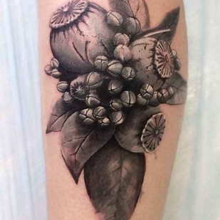 🔥 Горячие фото, портфолио модели  #12364  