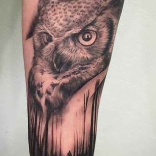 🔥 Горячие фото, портфолио модели  #12367  