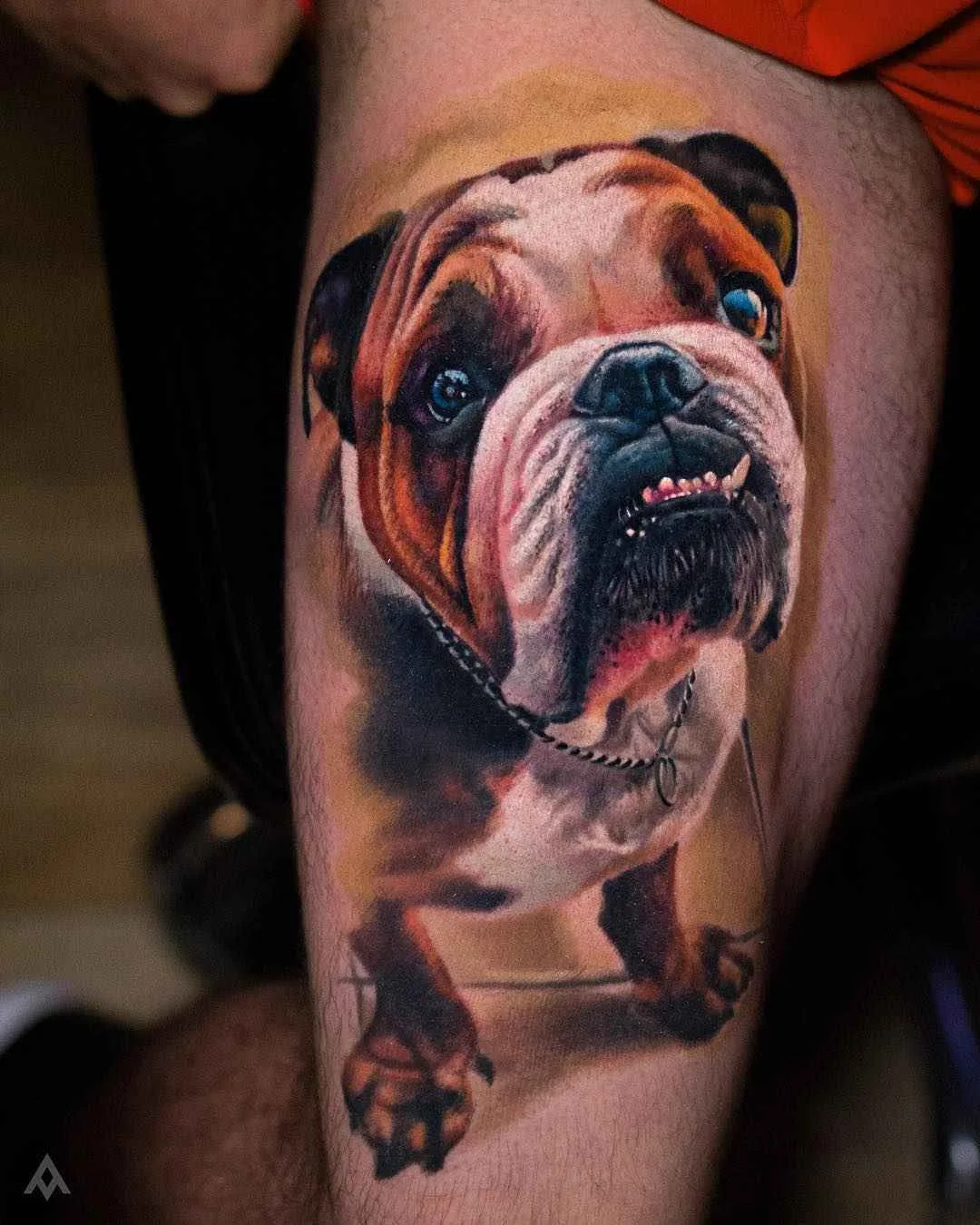 Tatuista Luka Lajoie tatuaggio colorato fotorealistico | Tattoo artist Luka Lajoie color photorealistic tattoo