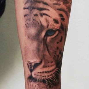 🔥 Горячие фото, портфолио модели  #12374  