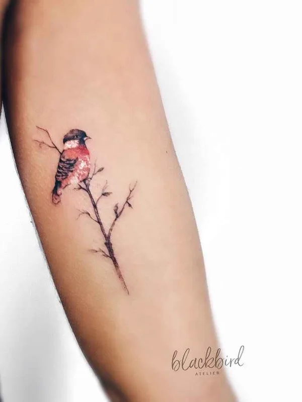 color watercolor 타투 부위 forearm #11985 | 타투이스트 Luiza Oliveira