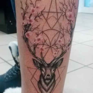 🔥 Горячие фото, портфолио модели  #12356  