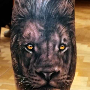 🔥 Горячие фото, портфолио модели  #12380  