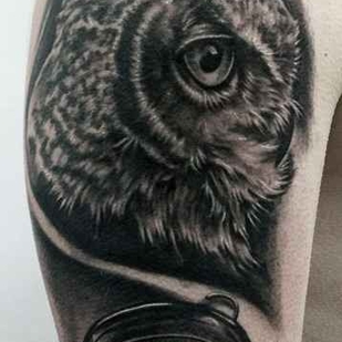 🔥 Горячие фото, портфолио модели  #12373  