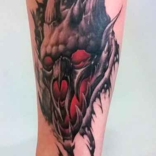 🔥 Горячие фото, портфолио модели  #12386  