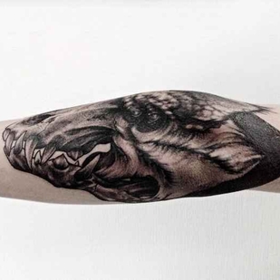 🔥 Горячие фото, портфолио модели  #12390  