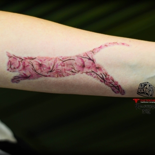 🔥 Горячие фото, портфолио модели  #23451  