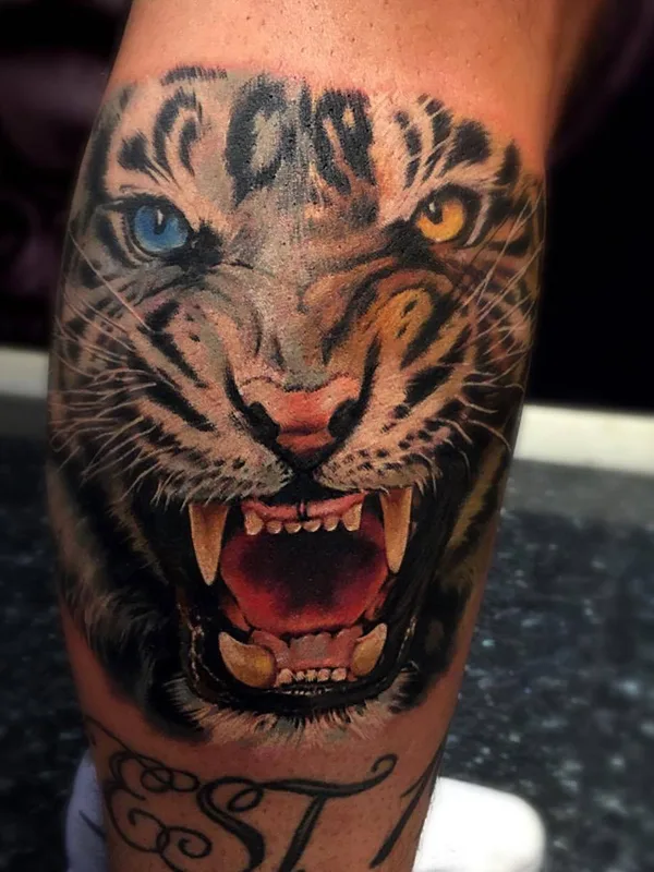 color realism Tatuagem em calf #23279 | Tatuador Zhang Po
