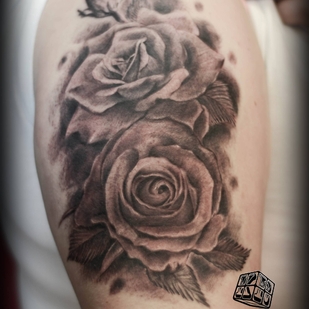 🔥 Горячие фото, портфолио модели  #23453  