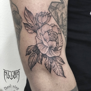 🔥 Горячие фото, портфолио модели  #23651  