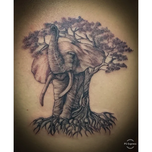 Realism Elephant, Tree tattoo on Back