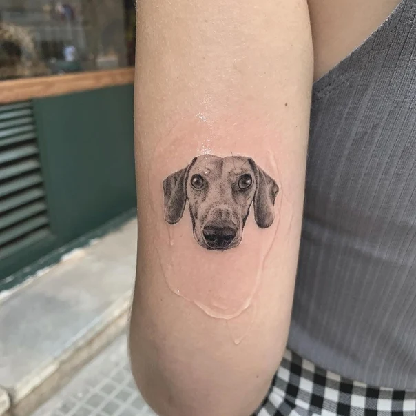 Realism Dog tattoo on Forearm