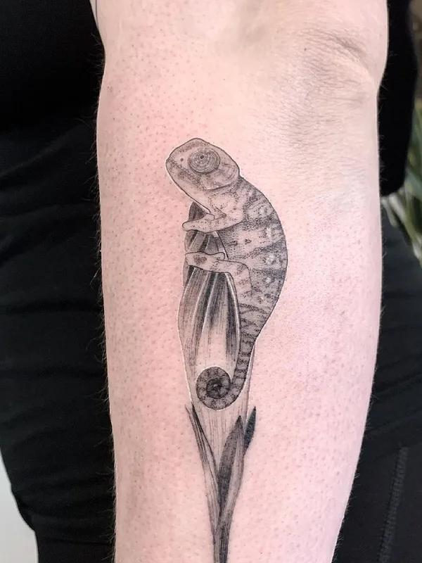 black and grey black and grey 纹身 在 forearm #41794 | 纹身师 Hernan Giamberardino