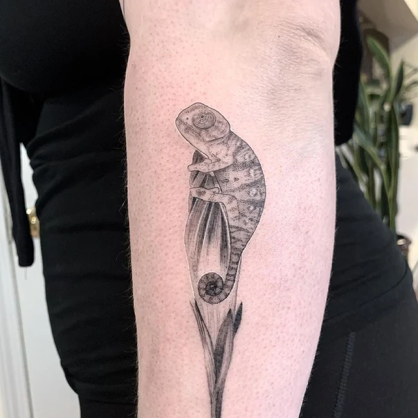 Black & Grey Chameleon, Flower tattoo on Forearm