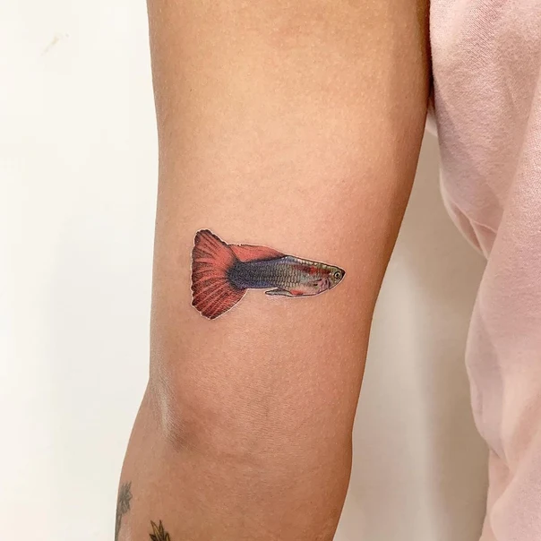 Realism Fish tattoo on Forearm