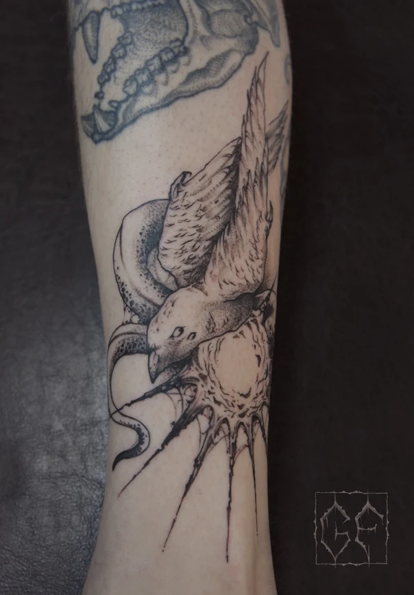 Скетч / Набросочная Bird, Snake tattoo на Икра