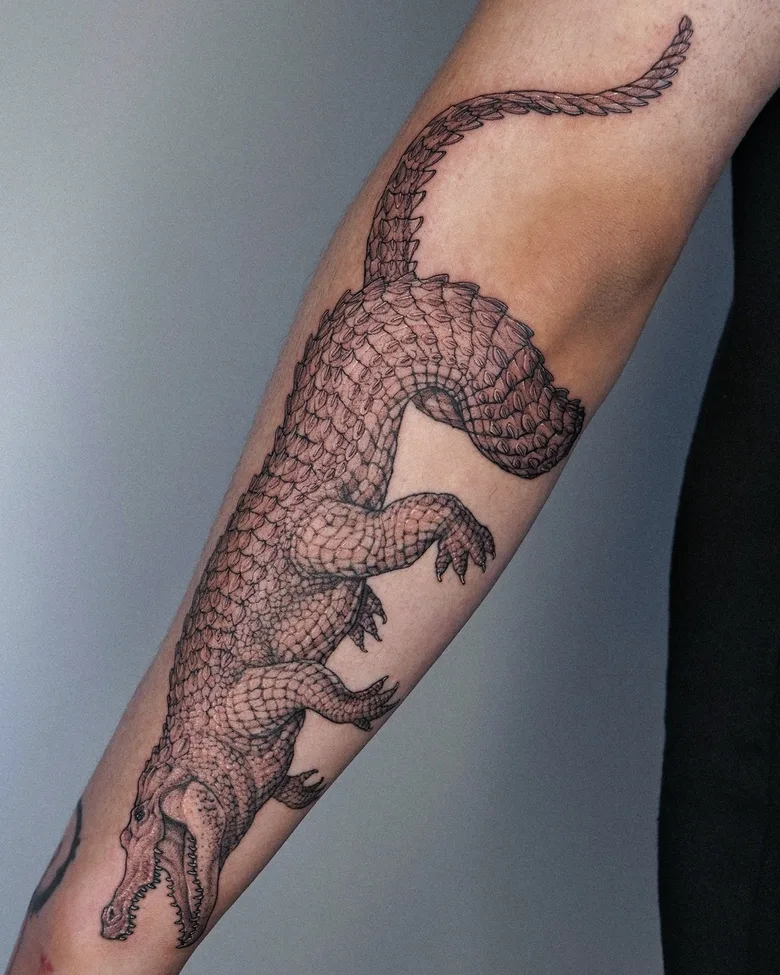Tatuaggio di coccodrillo sul braccio - Tatuatore Intat