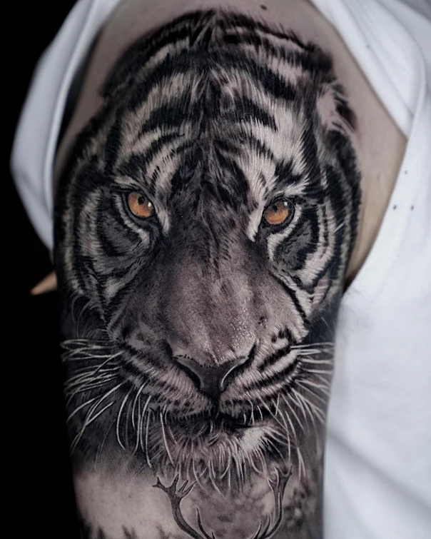 Realism Tiger tattoo on Shoulder