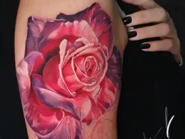 Rose Tattoo Meaning: Symbolism, Color, Culture, and Design