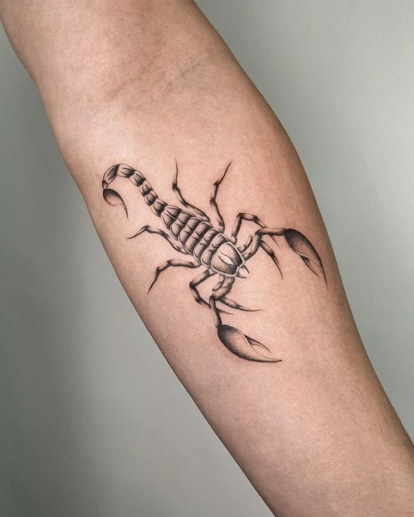 Realism Scorpion tattoo on Forearm