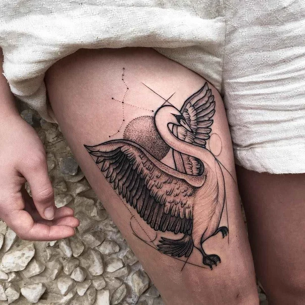 Linework Swan, Constellation tattoo on Thigh