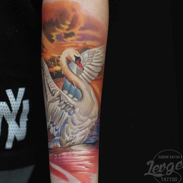 Realism Swan, Sky tattoo on Forearm
