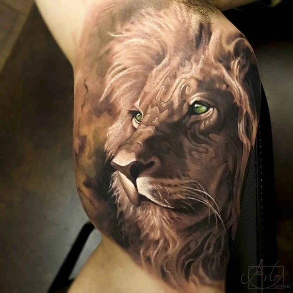 Realism Lion tattoo on Shoulder