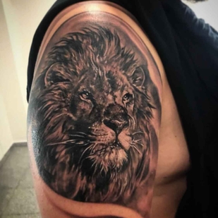 🔥 Горячие фото, портфолио модели  #12991  