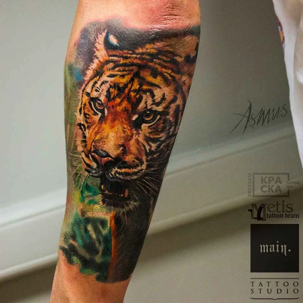 Реализм Tiger tattoo на Предплечье