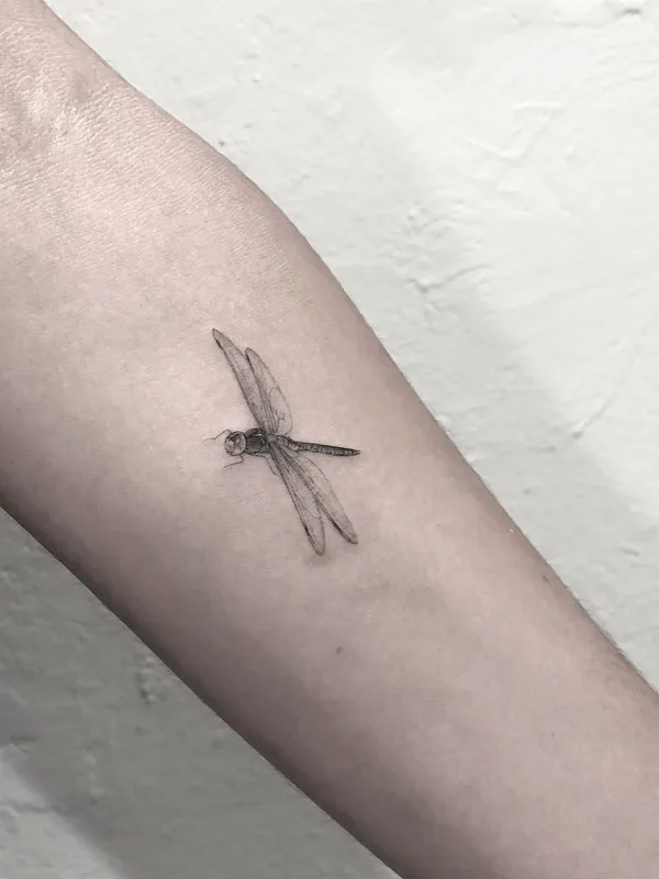 black and grey fineline Tatuaggio su forearm #25385 | Tatuatore NAL