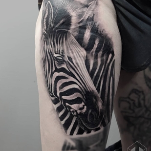 🔥 Горячие фото, портфолио модели  #24740  