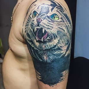 🔥 Горячие фото, портфолио модели  #24641  