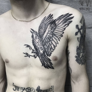 🔥 Горячие фото, портфолио модели  #24736  