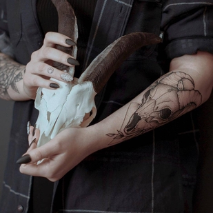 🔥 Горячие фото, портфолио модели  #32521  