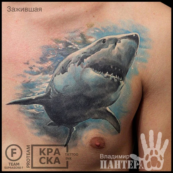 Реализм Shark tattoo на Грудь