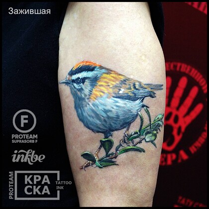 Тату эскиз #32555 Тату мастер Vladimir PANTERA Korolev